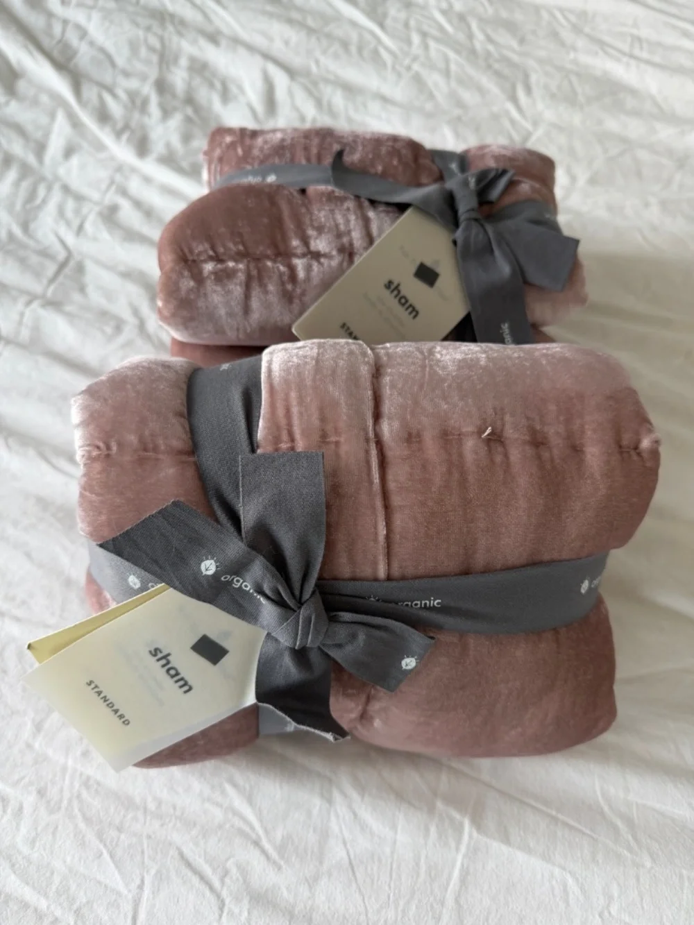 West Elm Pink Lush Velvet Sham x2